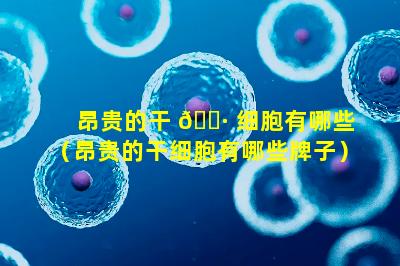 昂贵的干 🌷 细胞有哪些（昂贵的干细胞有哪些牌子）